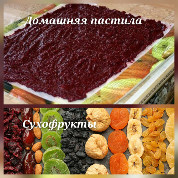 Электросушилка с ТЕРМОрегулятором "Самобранка" 50*50 см (Сушка фруктов, овощей, ягод, трав, кореньев и корнеплодов, рыбы, грибов и пр.)